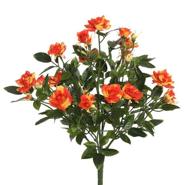 Orange Mini Diamond Rosa X5 Floral Bush 15 in., Dare2Decor, Mfr#: DA579394